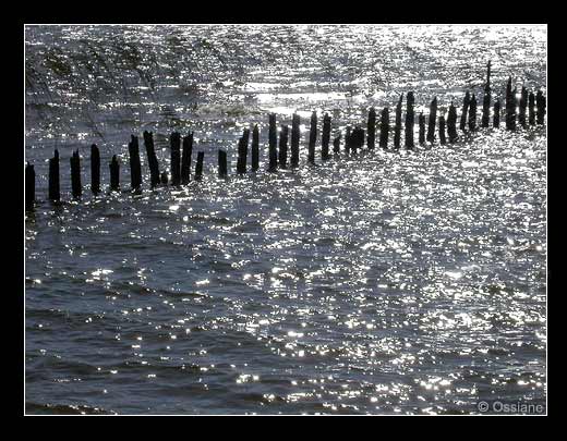 Lac de Carcans Lac de Carcans
