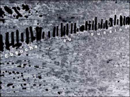 Crayons Ebauche au fusain, du noir charbon aux pastels, les couleurs du printemps