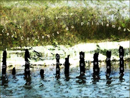 Crayons Ebauche au fusain, du noir charbon aux pastels, les couleurs du printemps