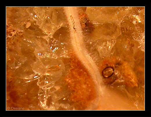 Atomes de Vie, Chemins de l'Invisible, Regard vers l'Infini.