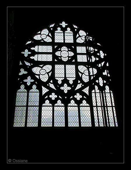 Nuit Noire sans Espoir, Matin Blanc d'un Elan, Oeil Bleu Harmonieux.