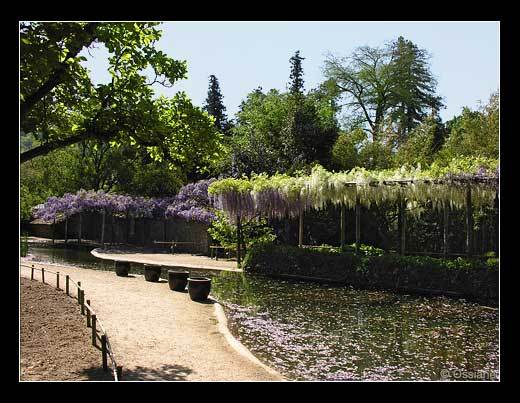 Au bout de l'Allée, l'Eau Joue à cache-cache avec le Soleil.