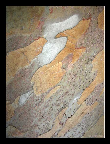 La Sève Coule sur le Parchemin Doré, ton Coeur Saigne à Blanc.