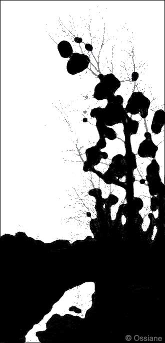 La Plume dans l'Eau, Bulles d'Encre de Chine sur le Papier de Soie.