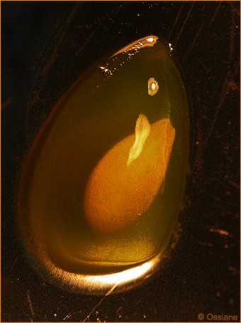 Le Souffle d'un Ange, il était une Fois la Vie, Fleurit un Sourire.