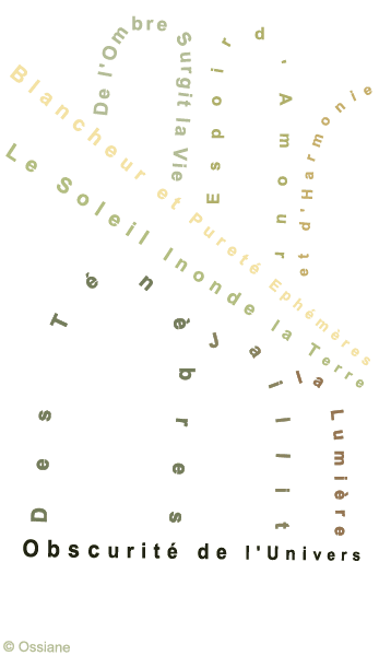 Des Ténèbres Jaillit la Lumière, Obscurité de l'Univers. Le Soleil Inonde la Terre, Blancheur et Pureté Ephémères. De l'Ombre Surgit la Vie, Espoir d'Amour et d'Harmonie.