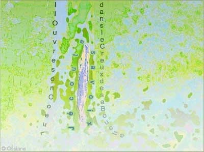 Il Ouvre son Coeur dans le Creux de sa Bouche, J'écoute sa Voix.