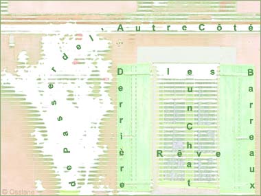 Derrière les Barreaux, un Chat Rêve de Passer de l'Autre Côté.