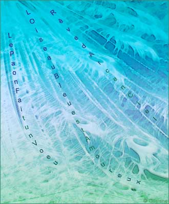 Le Paon Fait un Voeu, l'Oiseau Bleu est Amoureux, Rêve d'Arc-en-ciel.