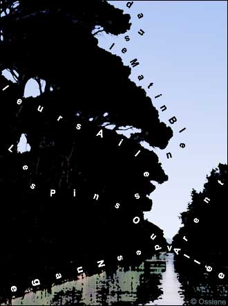 L'Allée des Nuages, les Pins Ouvrent leurs Ailes dans le Matin Bleu.