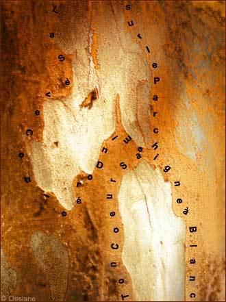 La Sève Coule sur le Parchemin Doré, ton Coeur Saigne à Blanc.