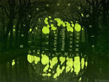 Berceau de Soie, les Arbres Esquissent leurs Rêves dans ton Miroir.