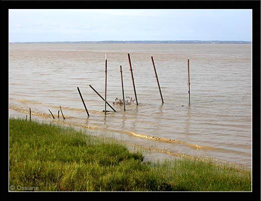 Symboles Graphiques, Abstraction Géométrique, Signes d'Ecriture, Expression de Figures, Caractères d'un Espace qui a laissé sa trace.<br> 