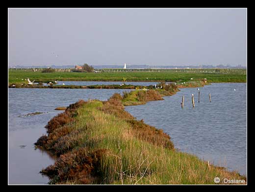 Une Voile Blanche à l'horizon, de Blancs Oiseaux à l'Unisson, Cris d'Oiseaux au Diapason, Chemin de Ronde en Trait d'Union.